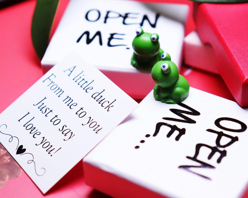 WENGIFT I Love You Frog Gift Desk Buddy Cute little Frog Pocket Hug Frog Lover Best Friend Gift - Image 5